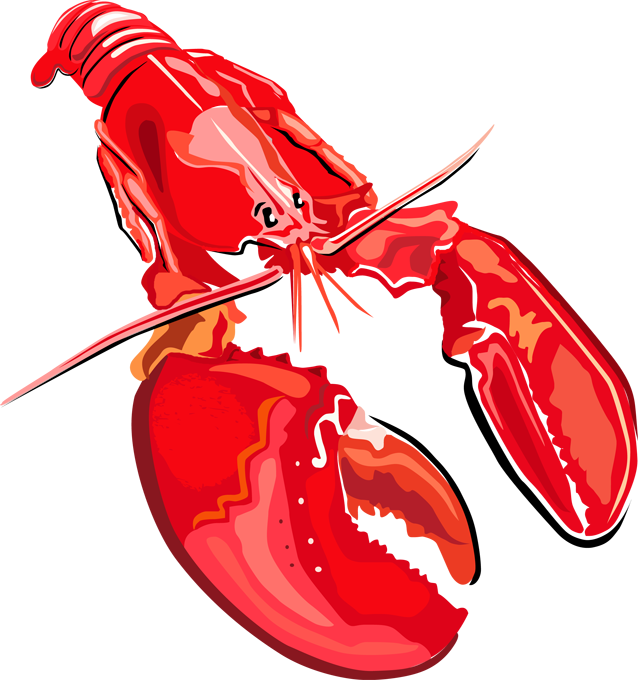 Red Lobster Illustration