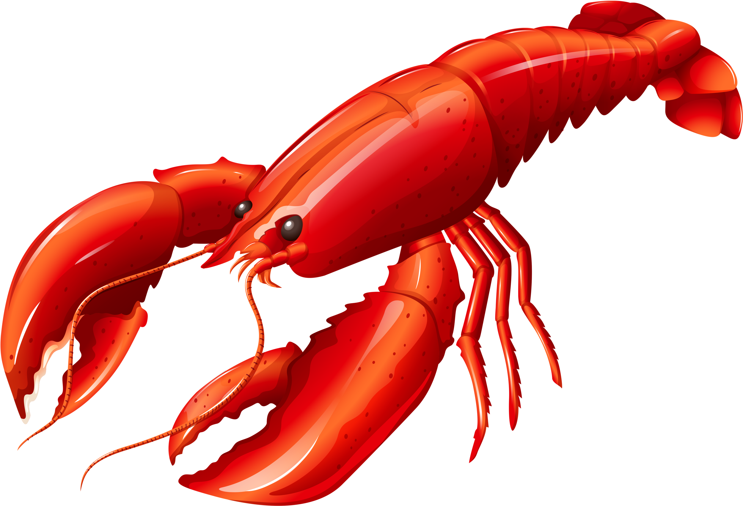 Red Lobster Illustration