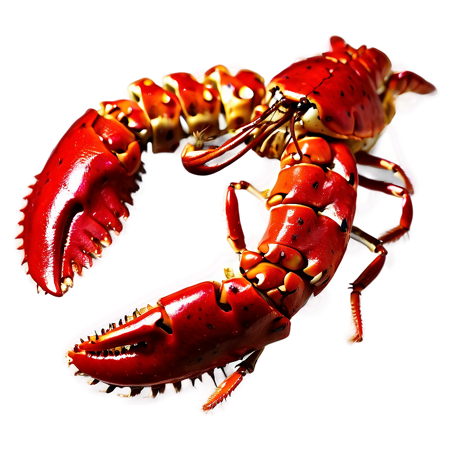 Red Lobster On White Background Png 63