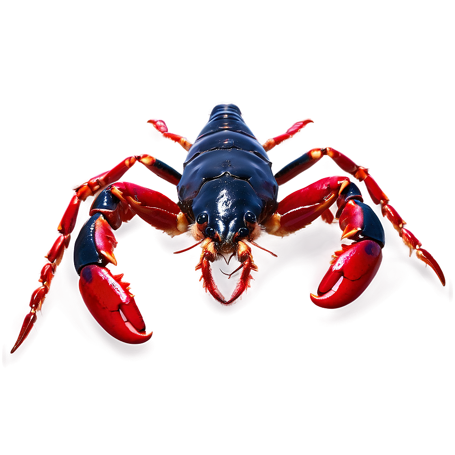 Red Lobster With Claws Png 06242024