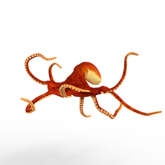 Red Octopus Black Background PNG with transparent background