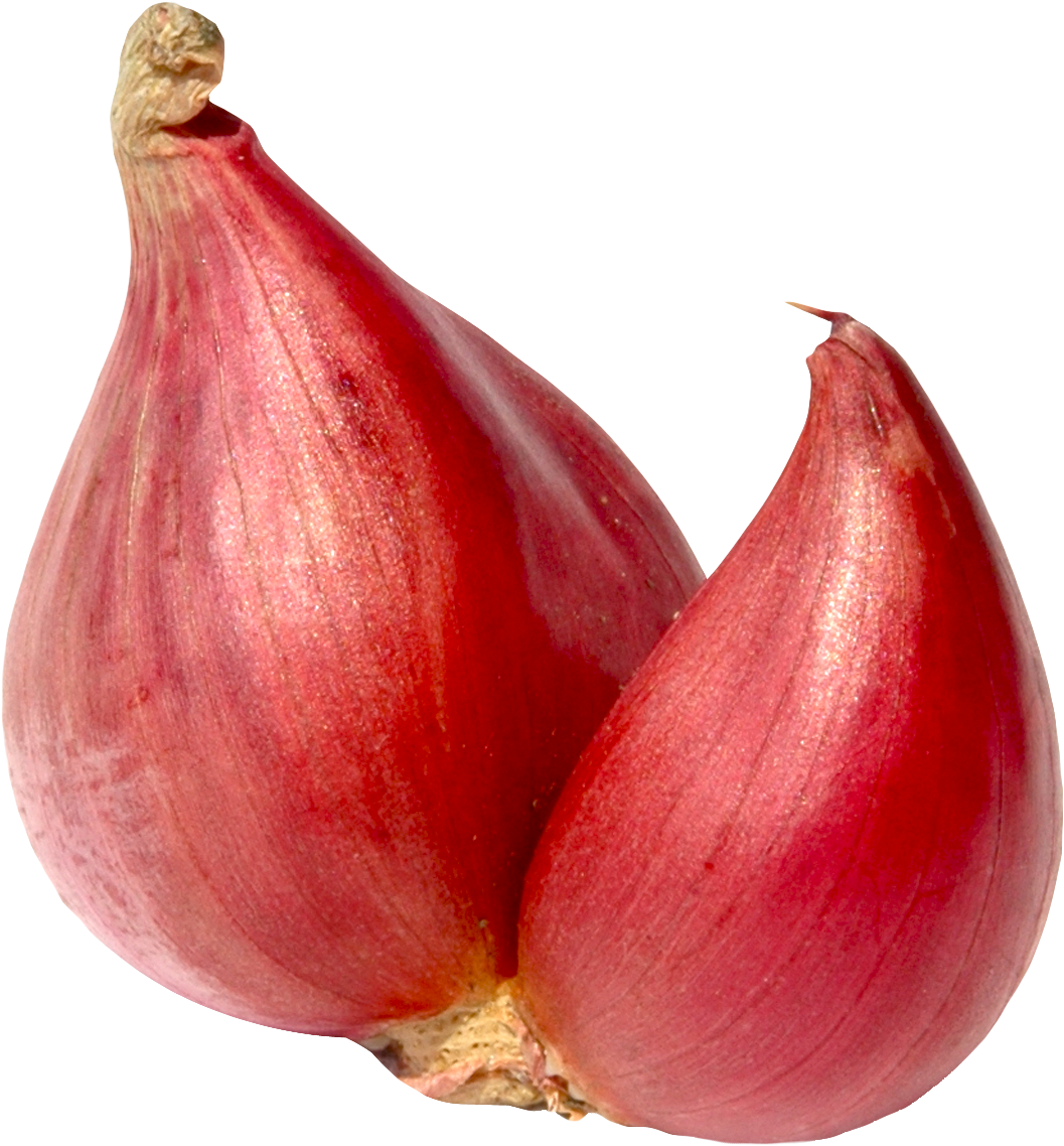 Red Onion Closeup