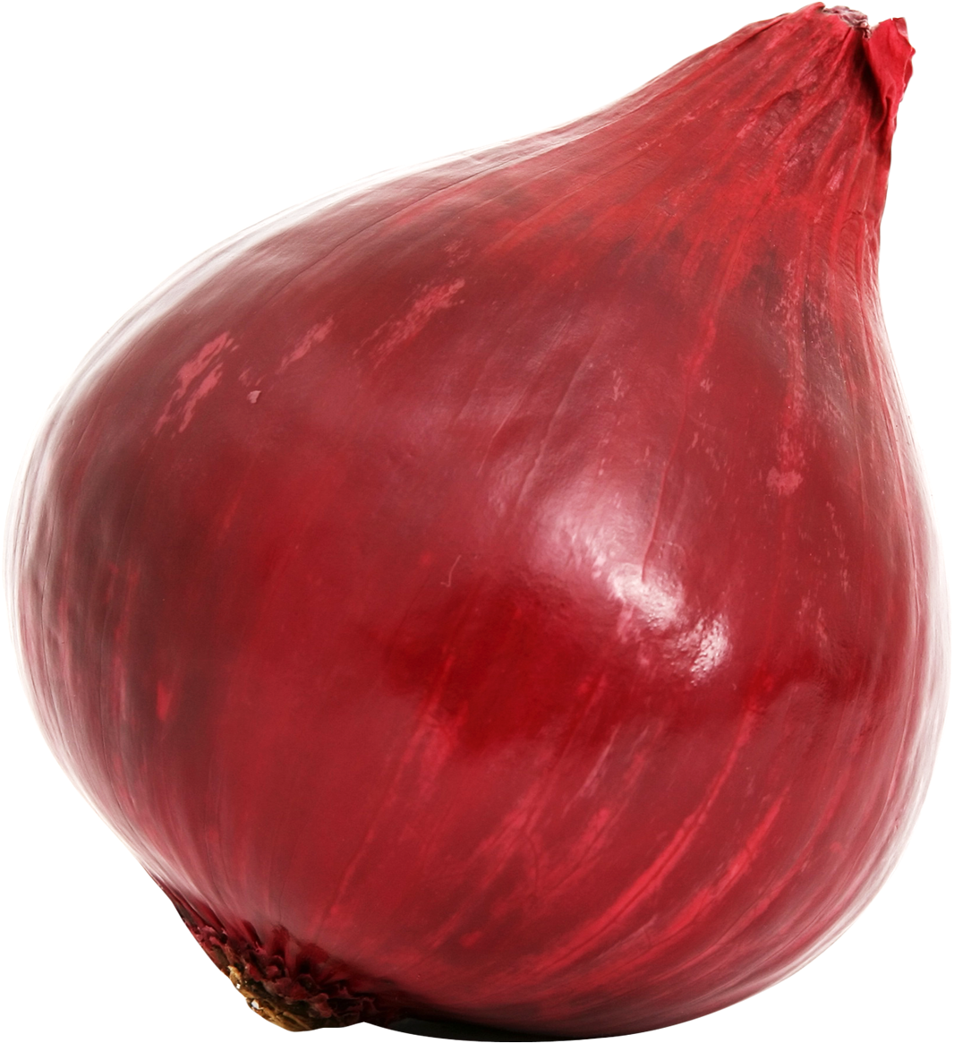 Red Onion Single Isolated Background