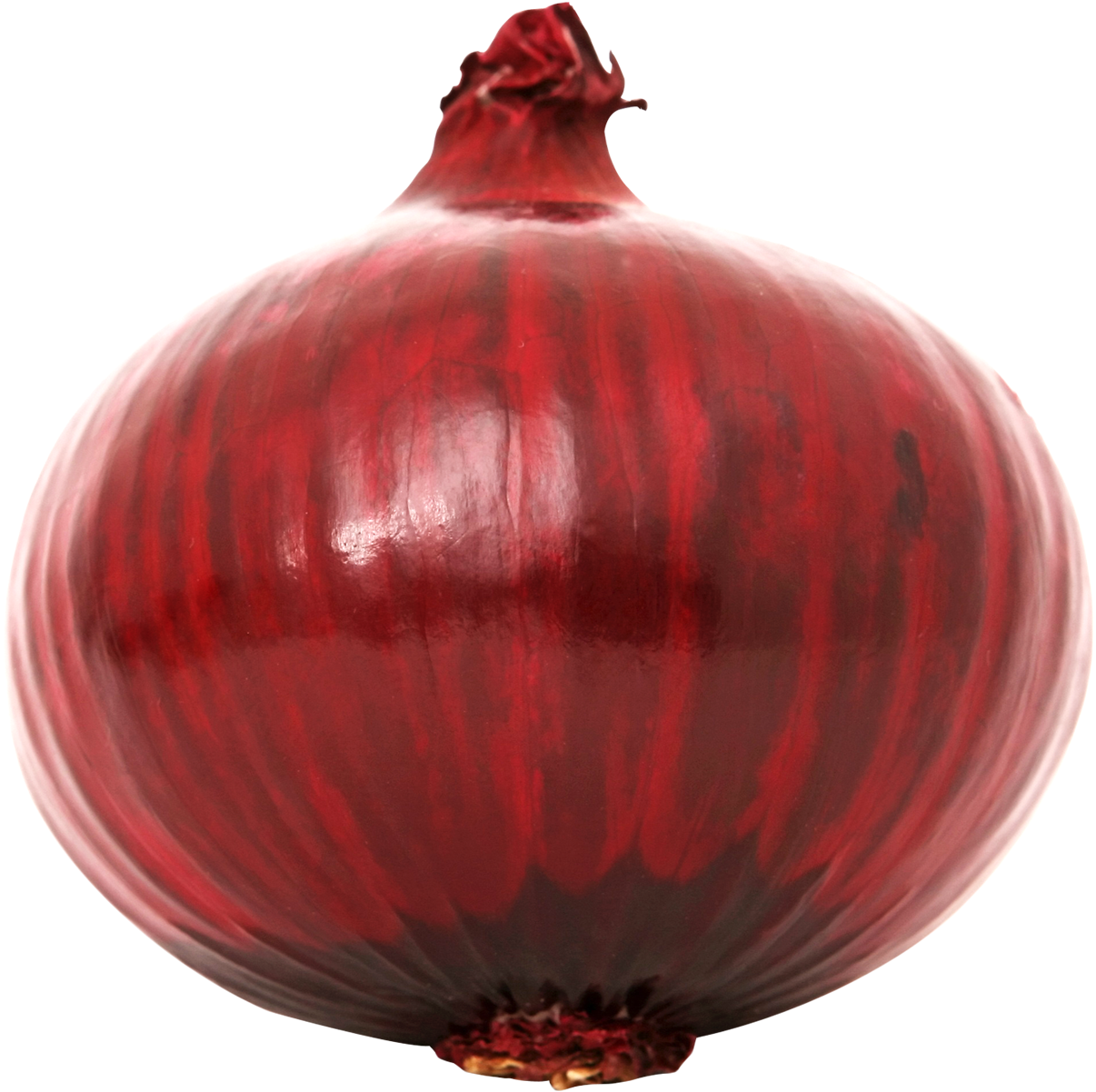 Red Onion Single Isolated