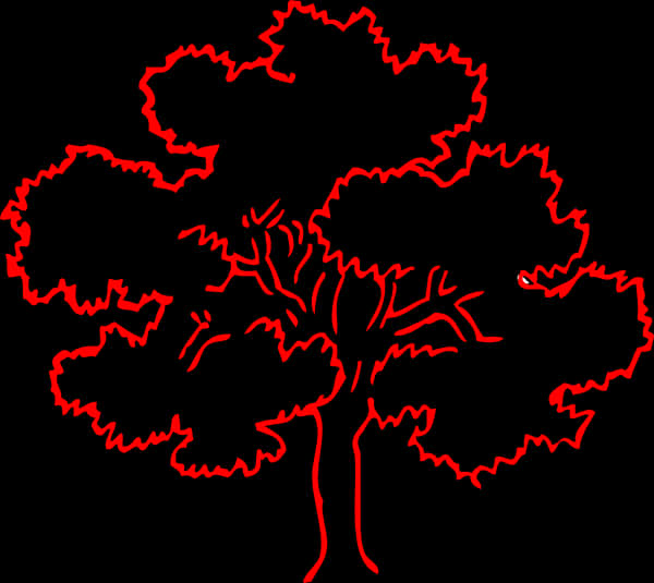Outline Pictures Of Tree, HD Png Download PNG image with a transparent background, free high-resolution download