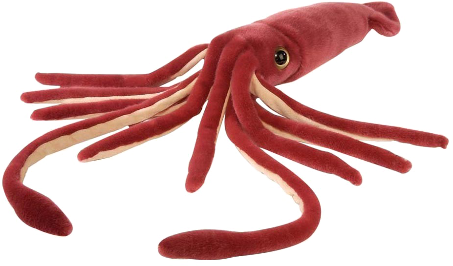Squid Png Free Download - Squid Soft Toy, Transparent Png PNG image with a transparent background, free high-resolution download
