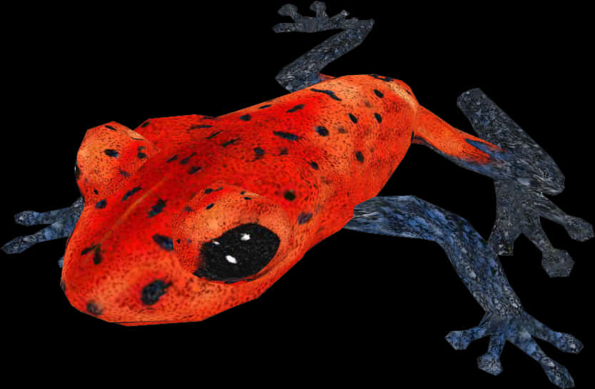 Red Poison Dart Frog Black Background