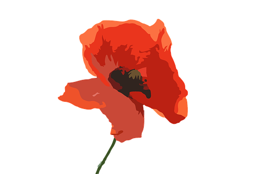 Red Poppy Vector Art PNG with transparent background