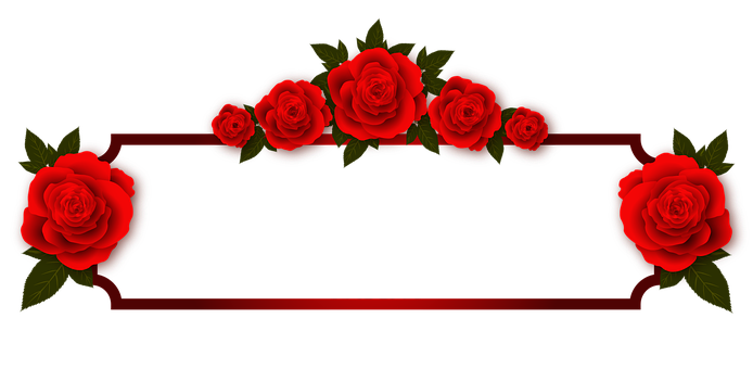 Red Rose Banner Design PNG with transparent background