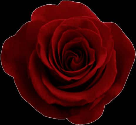 Red Rose Black Background