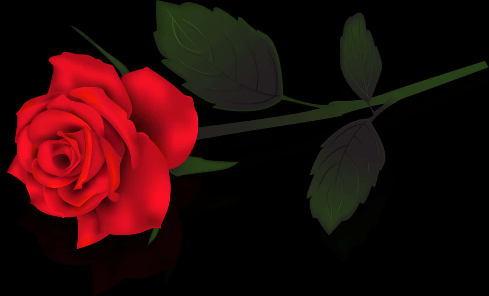 Red Rose Black Background