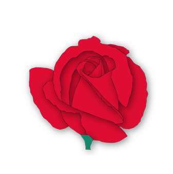 Red Rose Black Background