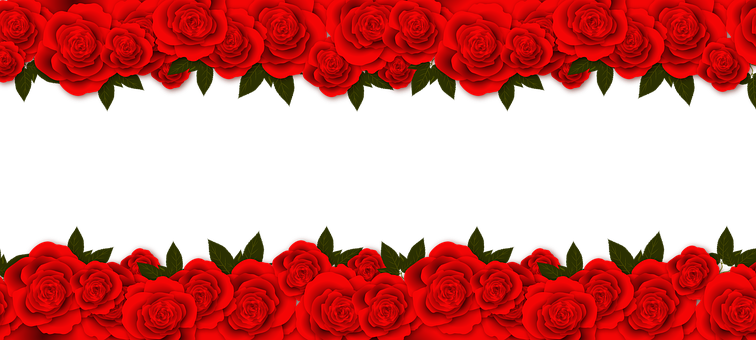 Red Rose Border Black Background PNG with transparent background