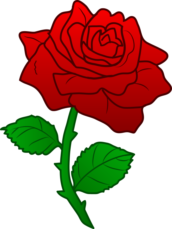 Tiny Rose Png - Red Roses Beauty And The Beast, Transparent Png PNG with transparent background