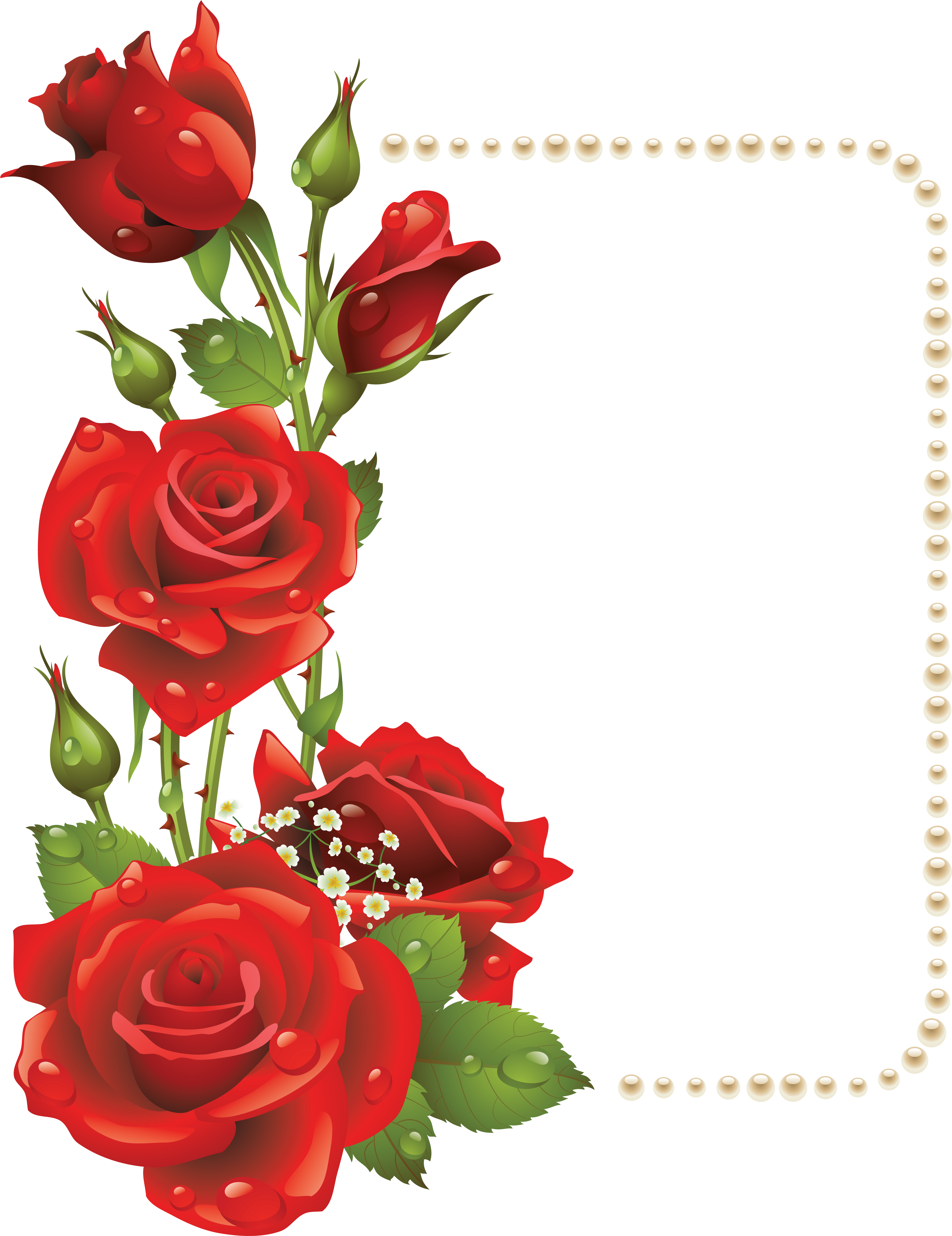 Red Rose Pearl Frame Design