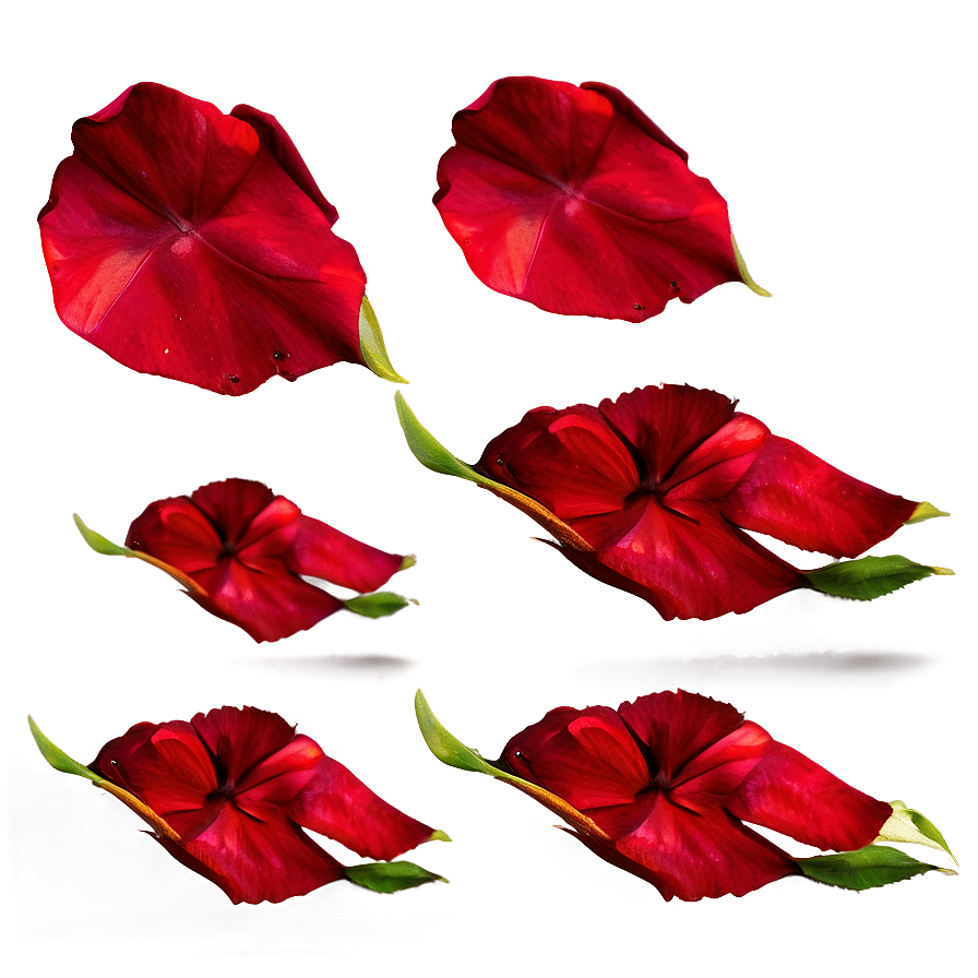 Red Rose Petals Png Oxd