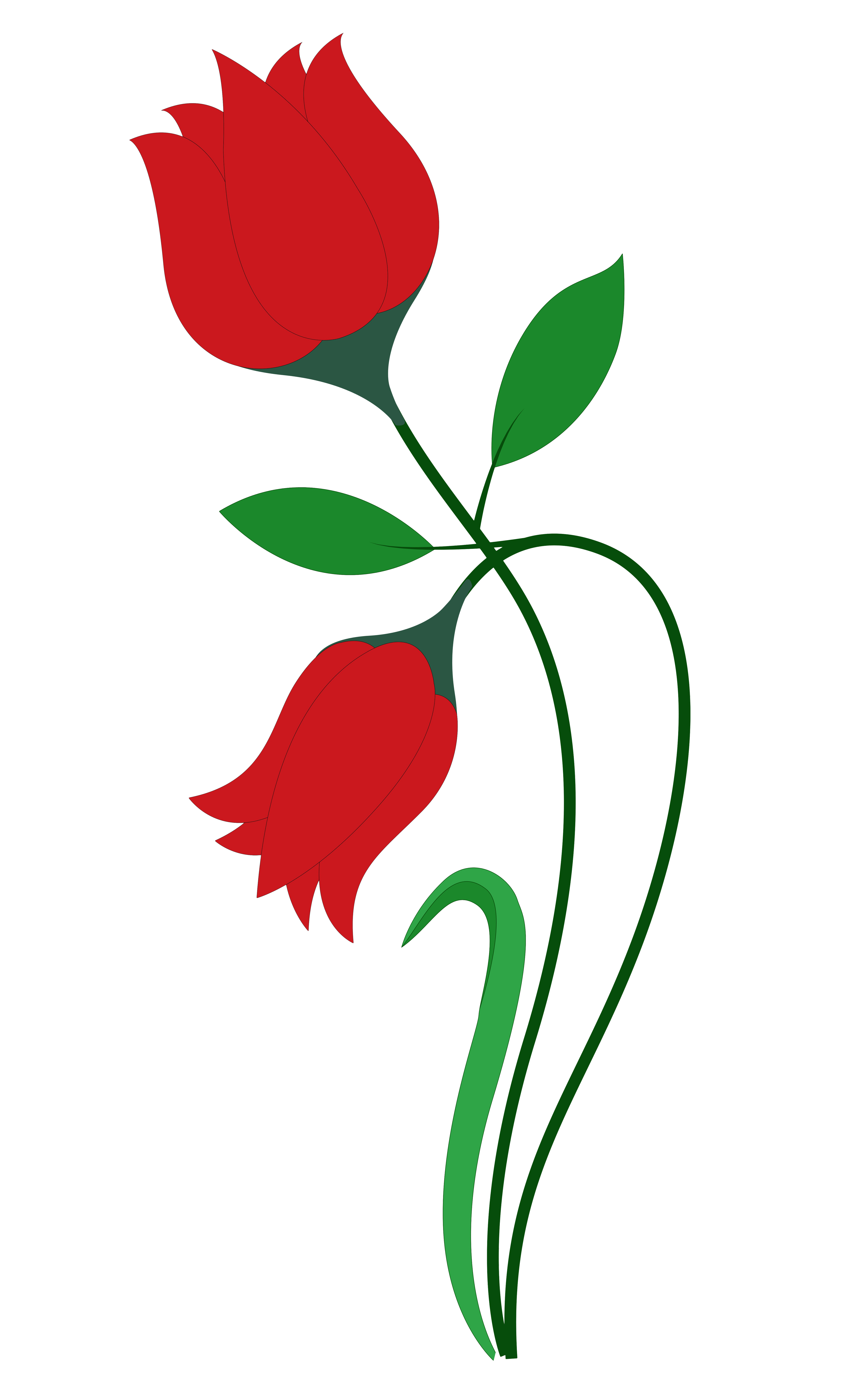 Red Rose Vector Art