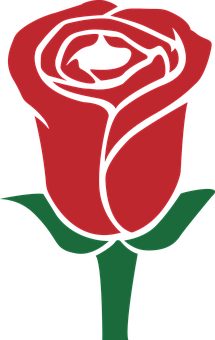 Red Rose Vector Art