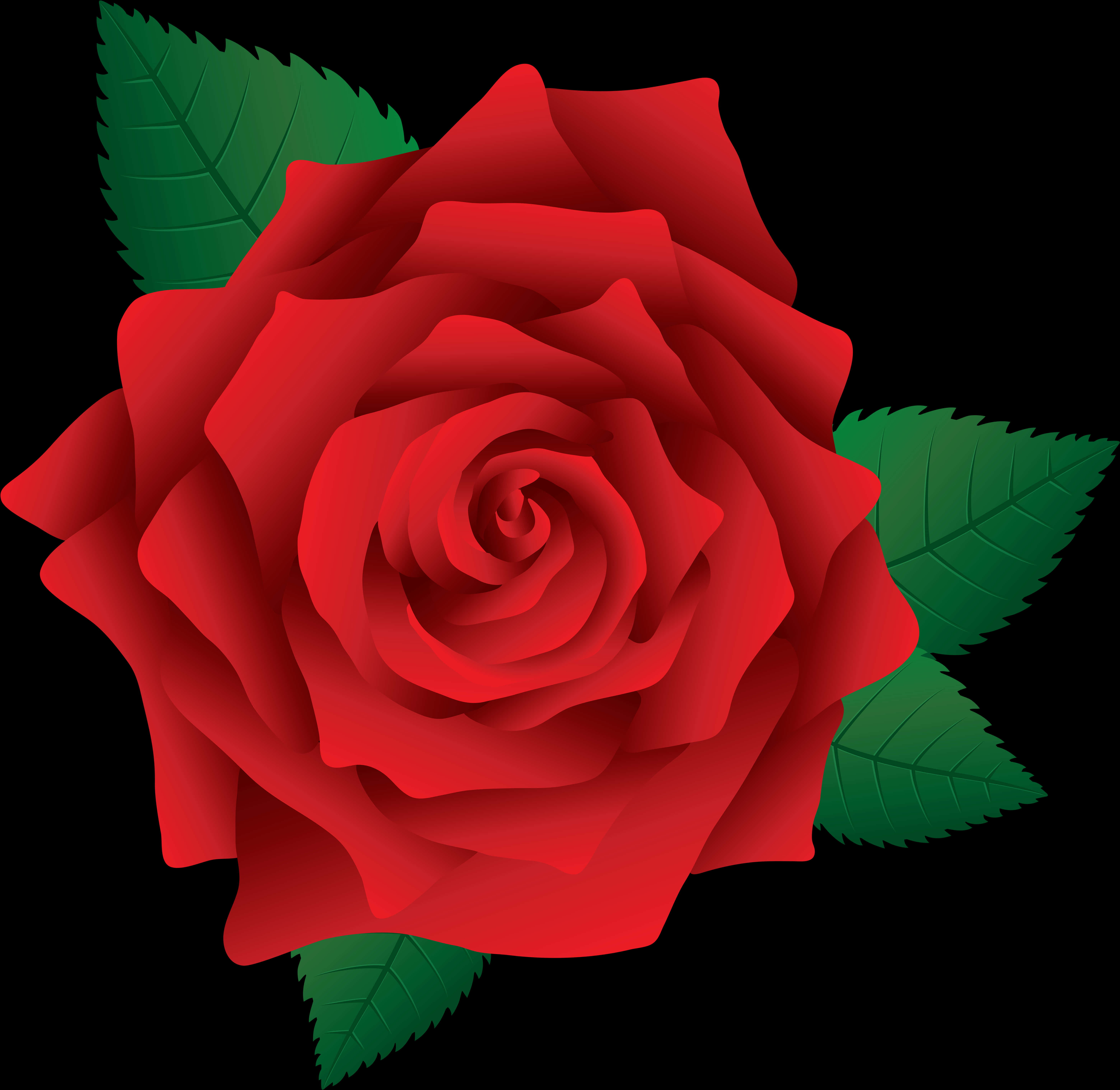 Red Rose Vector Illustration