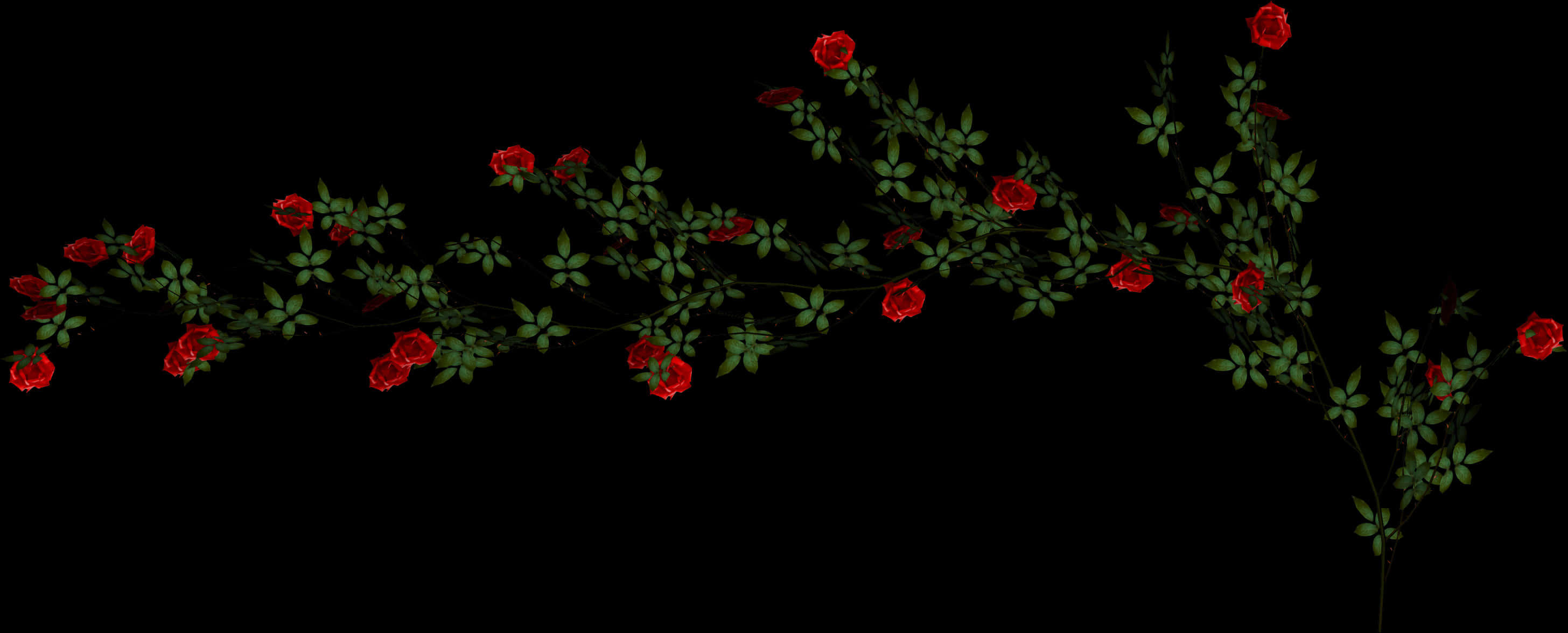 Red Rose Vine Black Background PNG image with a transparent background, free high-resolution download
