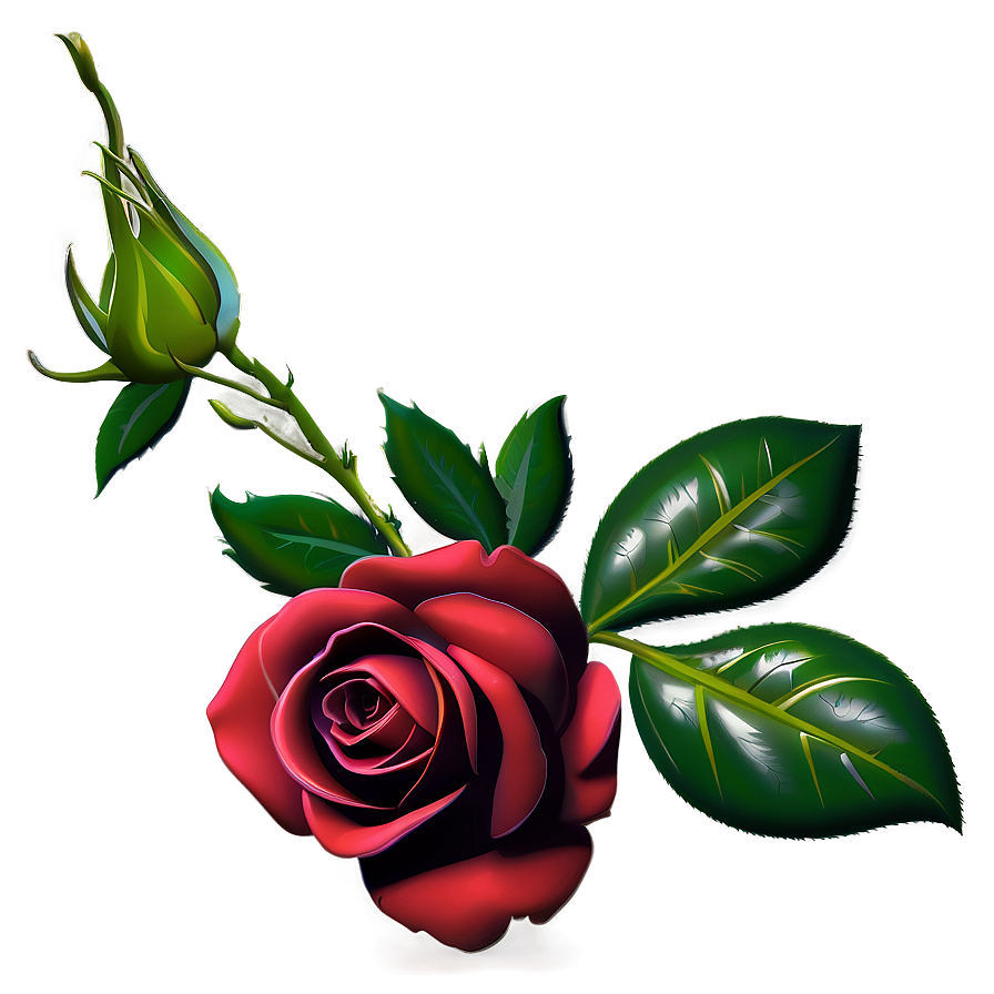 Red Rose Wallpaper Png Aqq