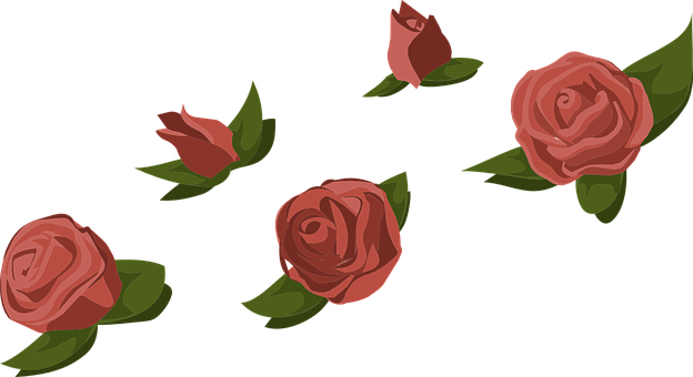 Red Roses Black Background Illustration