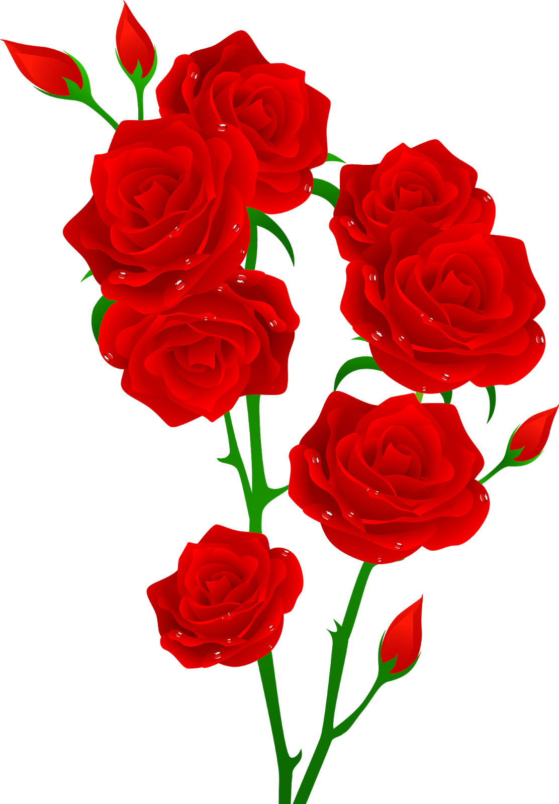 Red Roses Vector Illustration