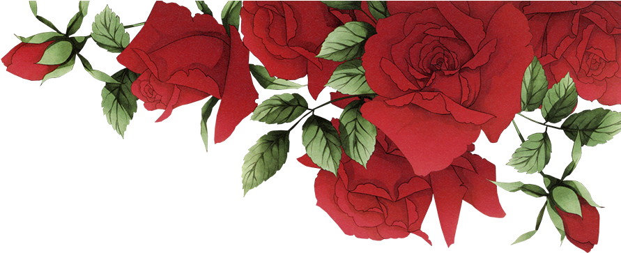 Garden Roses Beach Rose Red Flower - Red Roses Border Png, Transparent Png PNG with transparent background