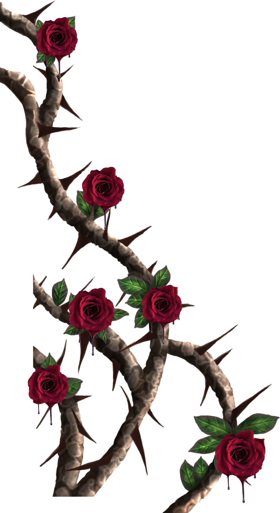 Rose Vine Png, Transparent Png PNG with transparent background
