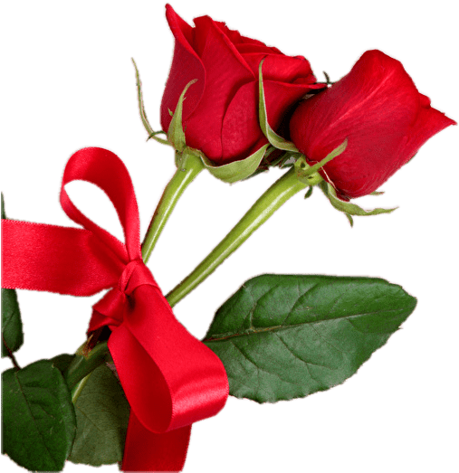 Red Roseswith Ribbon