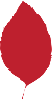 Red Silhouette Leaf Graphic PNG with transparent background