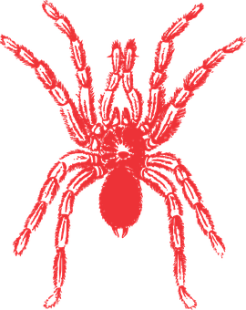 Red Silhouette Spideron Black Background PNG with transparent background