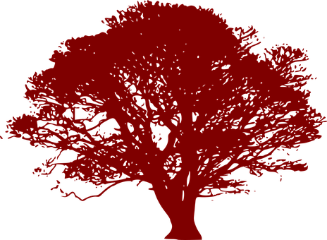 Red Silhouette Tree