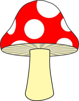 Red Spotted Mushroom Cartoon PNG with transparent background