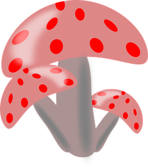 Red Spotted Mushrooms Illustration PNG with transparent background