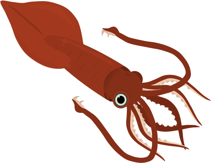Transparent Giant Squid Clipart - Transparent Giant Squid Squid Clipart, HD Png Download PNG image with a transparent background, free high-resolution download