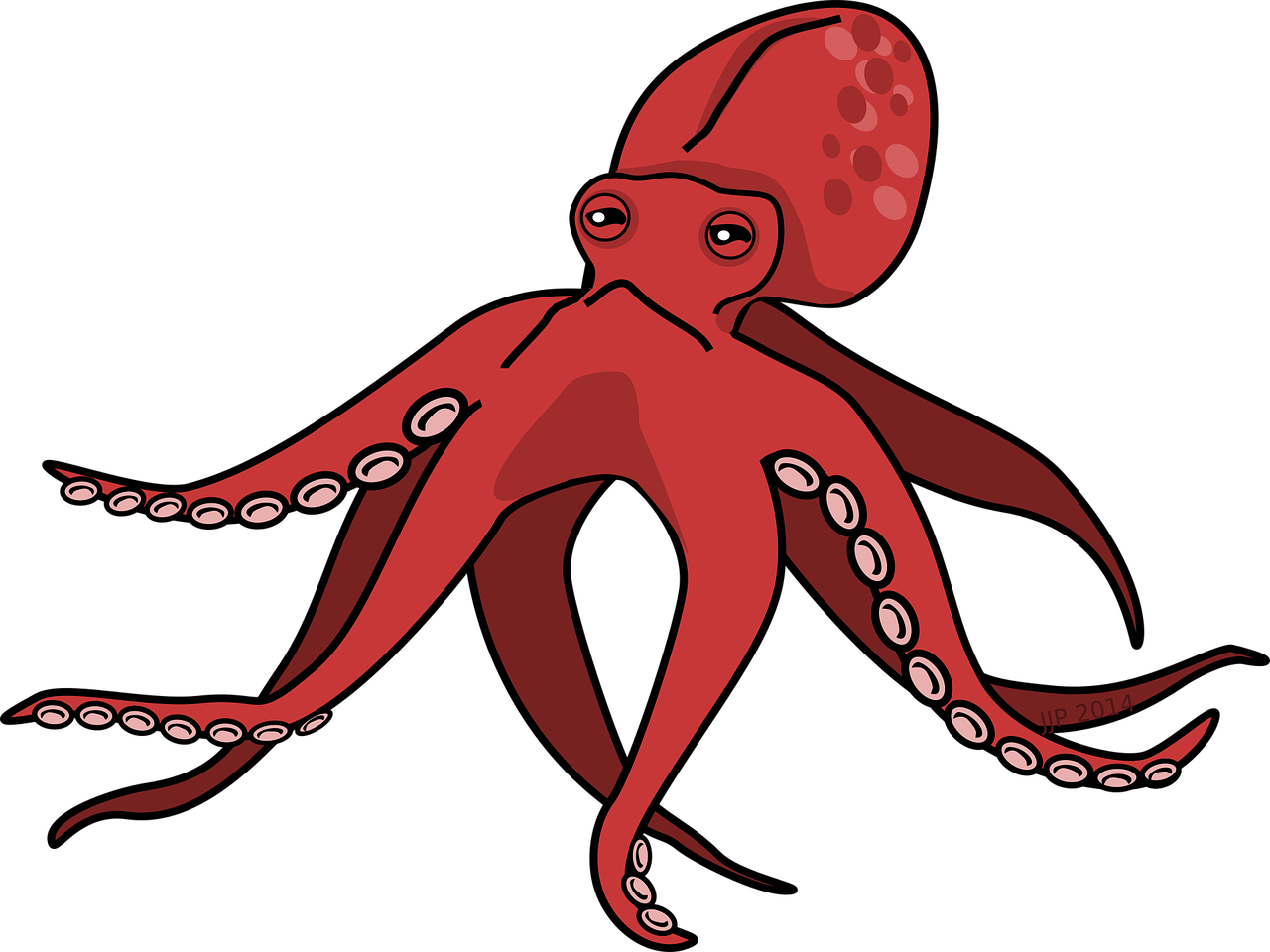 Red Squid Illustration