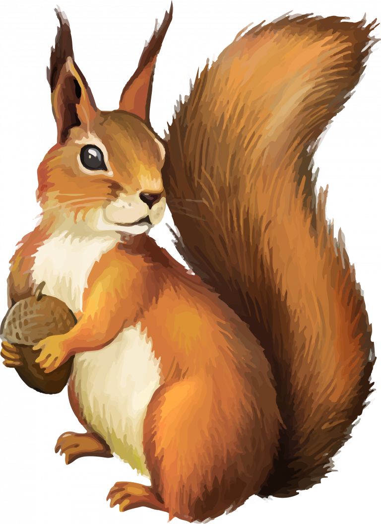 Red Squirrel Holding Nut