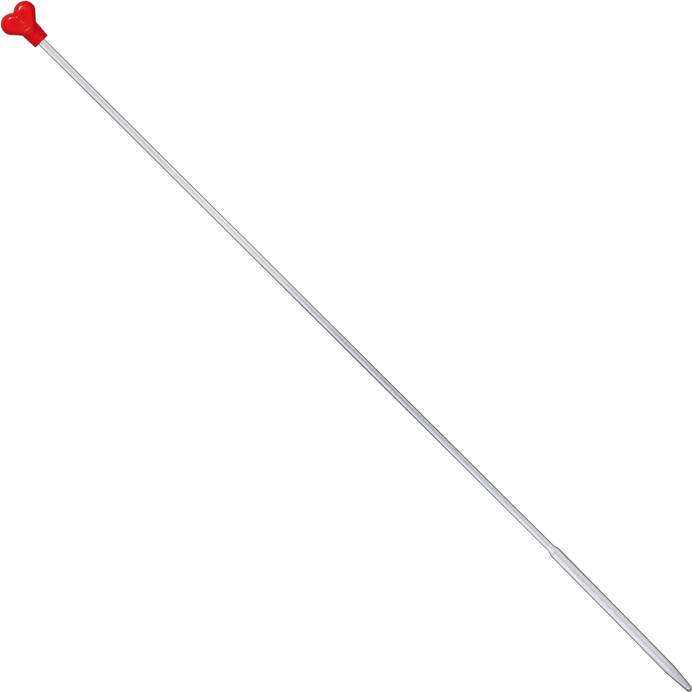 Red Tipped Sewing Needle