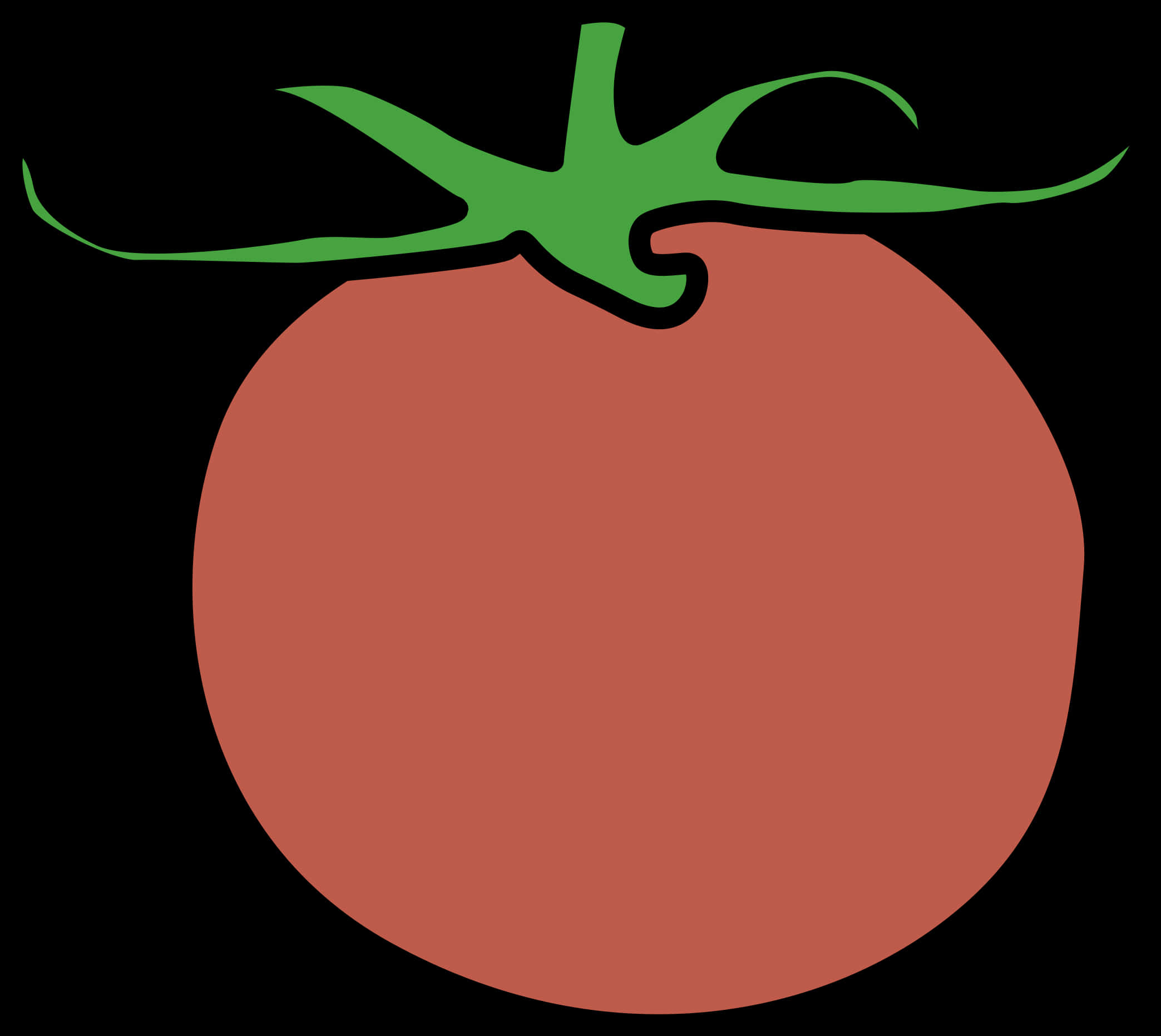 Red Tomato Vector Illustration