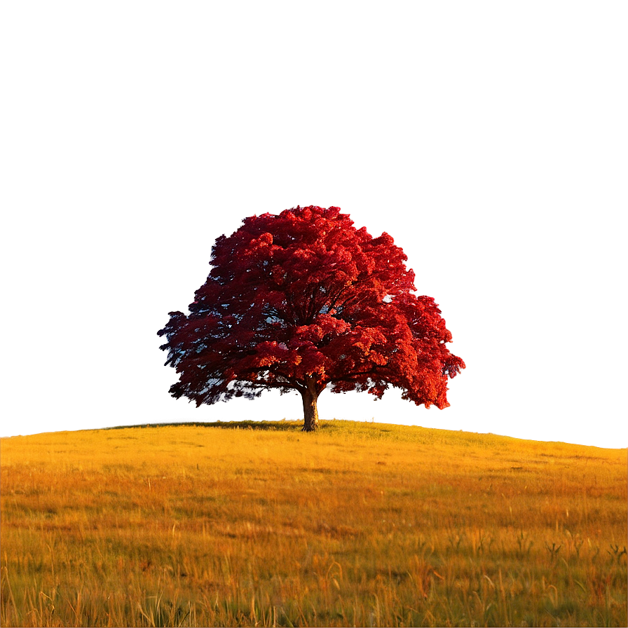 Red Tree In Vibrant Meadow Png Qgy64