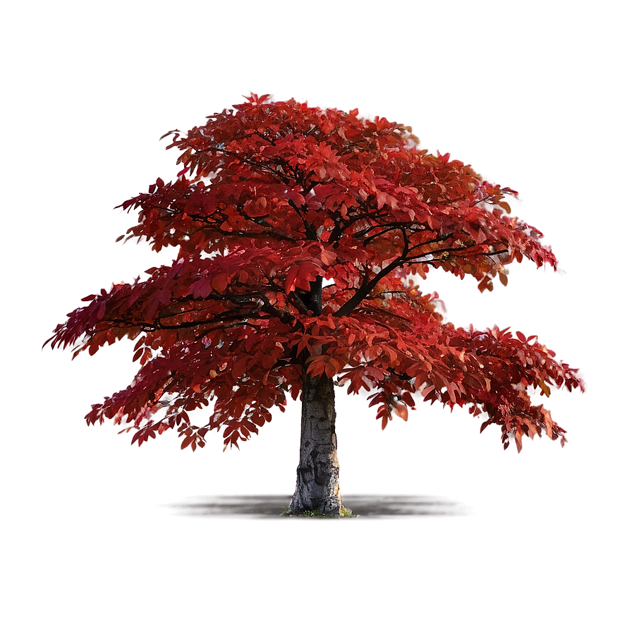 Red Tree On Hillside Png 25