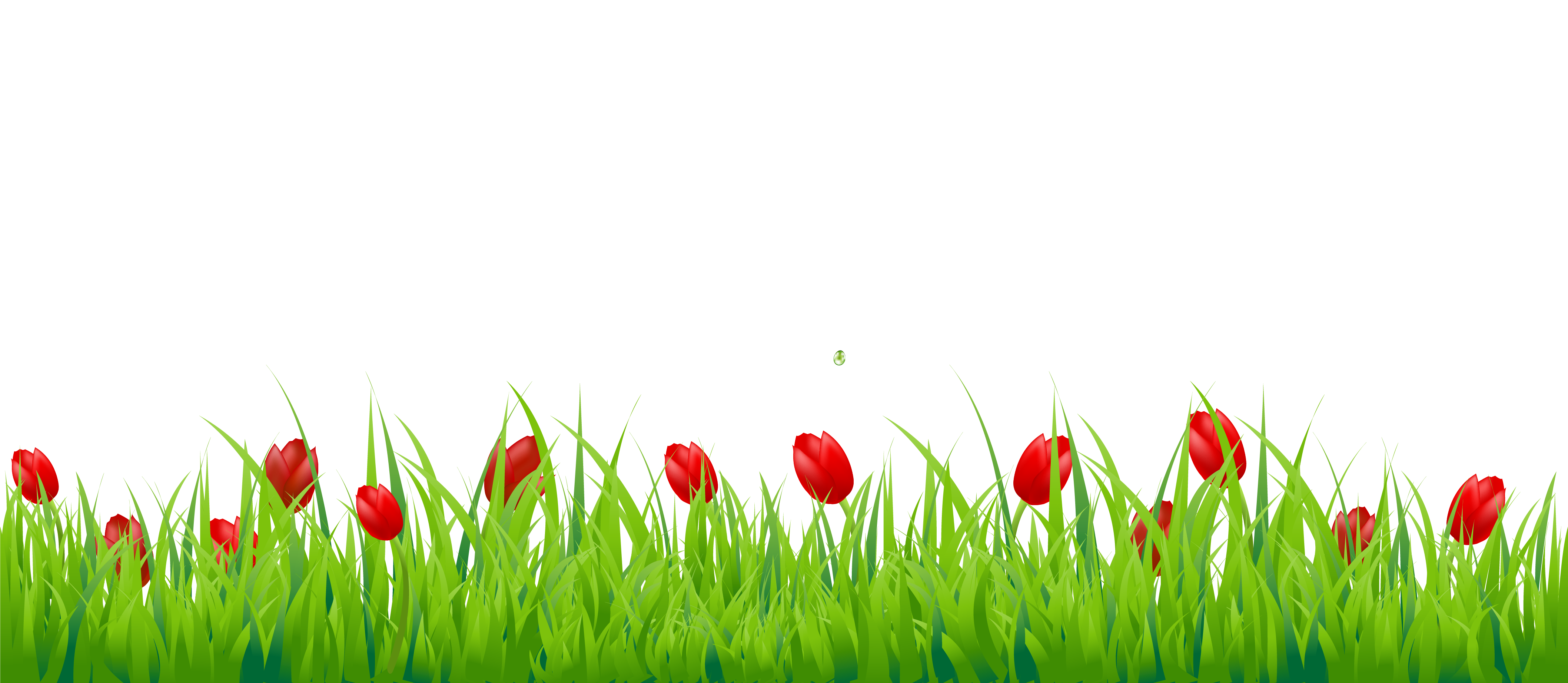 Red Tulipsin Green Grass