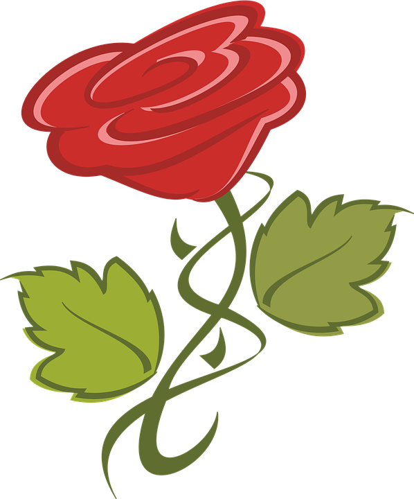 Red Vector Rose Illustration