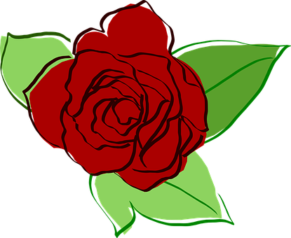 Red Vector Rose Illustration PNG with transparent background