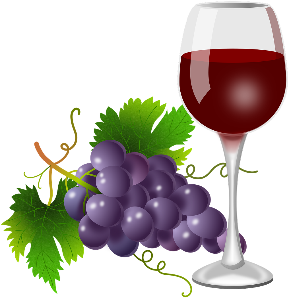 Red Wine Glassand Grapes Illustration