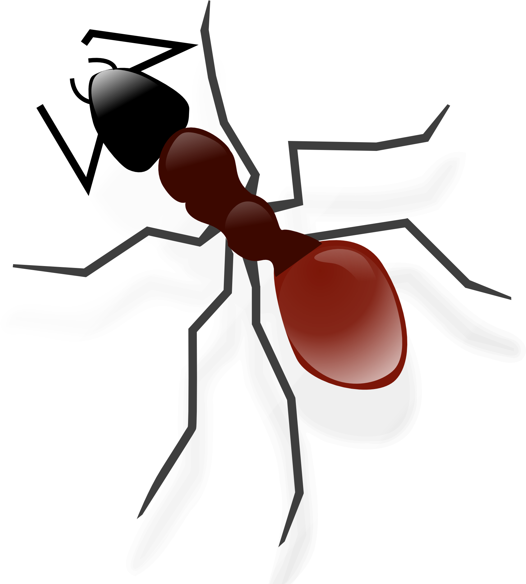 Redand Black Ant Illustration