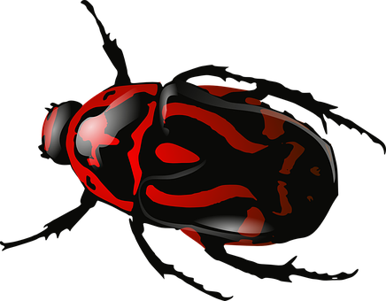 Redand Black Ladybug Illustration PNG with transparent background