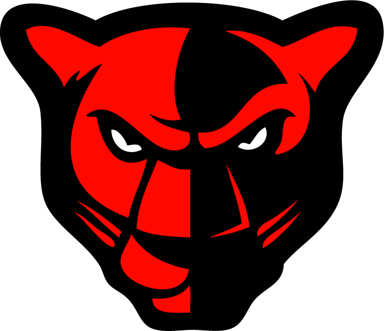 Redand Black Panther Graphic