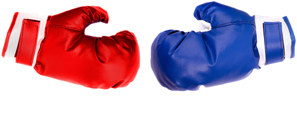 Redand Blue Boxing Gloves